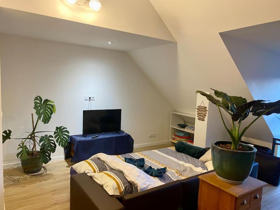 Appartement Les Sept Iles à Baden Extérieur photo